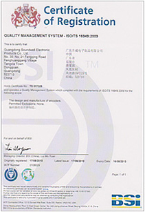 ISO / TS16949 automotive quality management system products